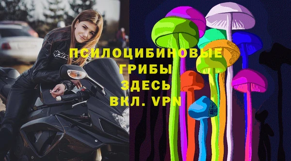СК Сыктывкар