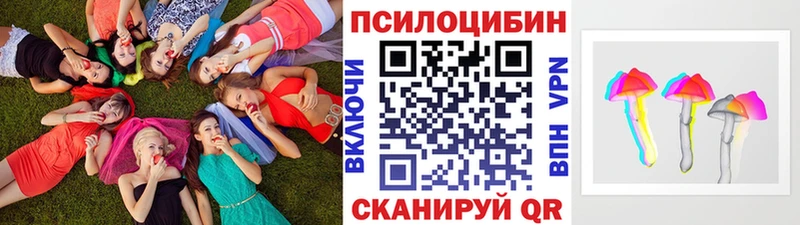 Псилоцибиновые грибы GOLDEN TEACHER  Александров 