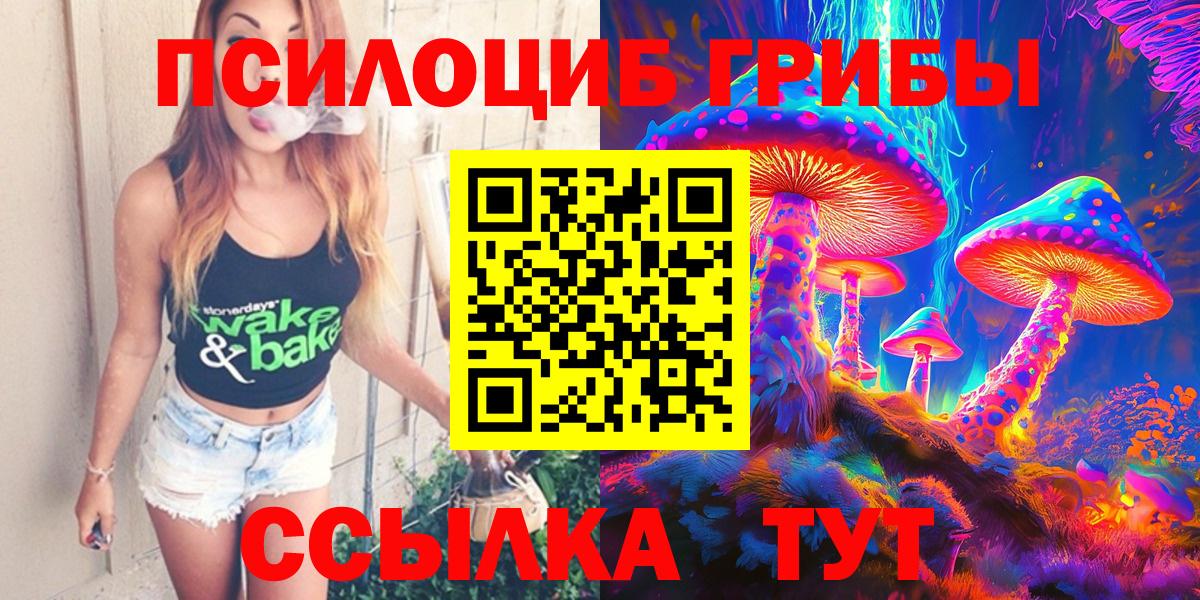 Галлюциногенные грибы Psilocybe  Псилоцибиновые грибы Psilocybine cubensis  Вход с VPN  Александров 