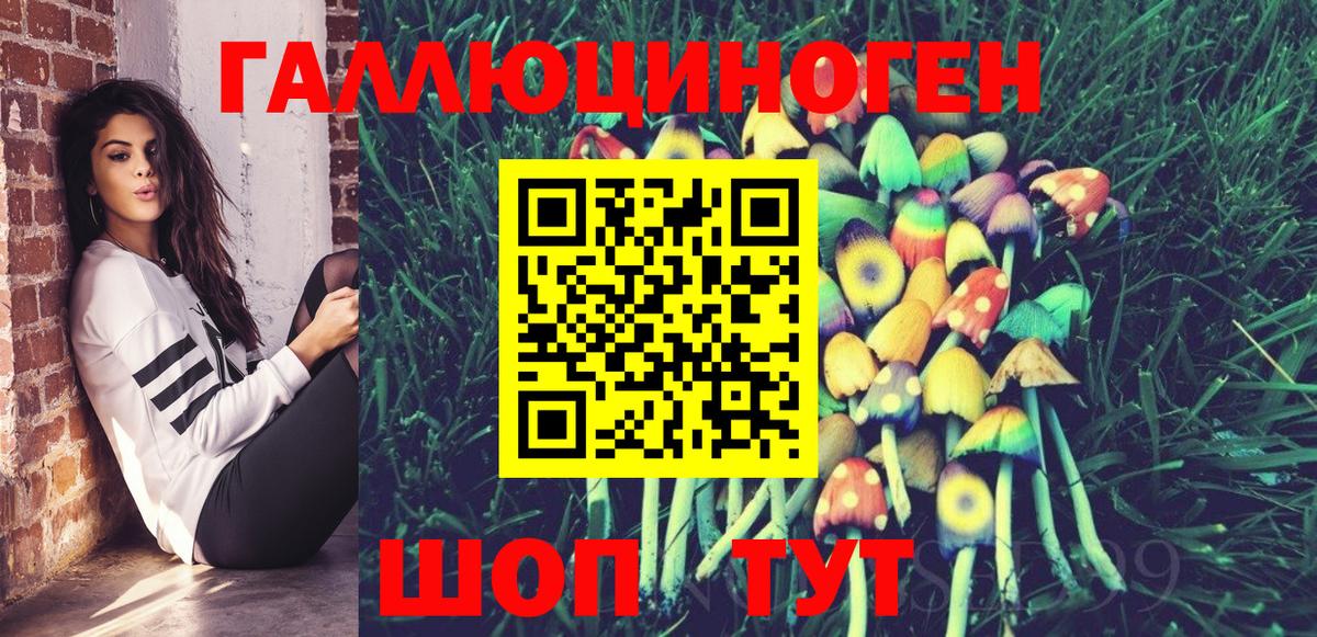 Псилоцибиновые грибы Psilocybine cubensis Александров