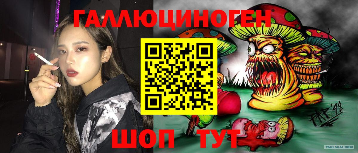 Александров  Псилоцибиновые грибы Magic Shrooms  Галлюциногенные грибы MAGIC MUSHROOMS  Вход с VPN 