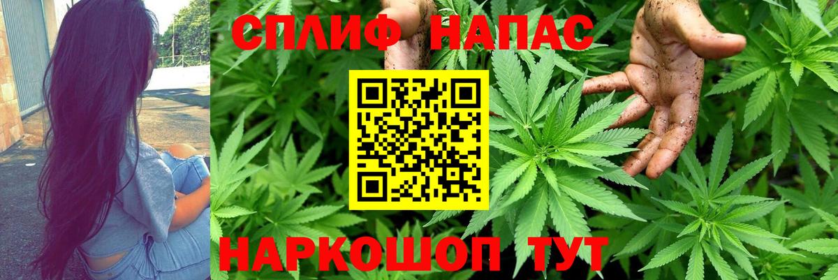Александров  Шишки марихуана планчик  Канабис марихуана  Вход с VPN 