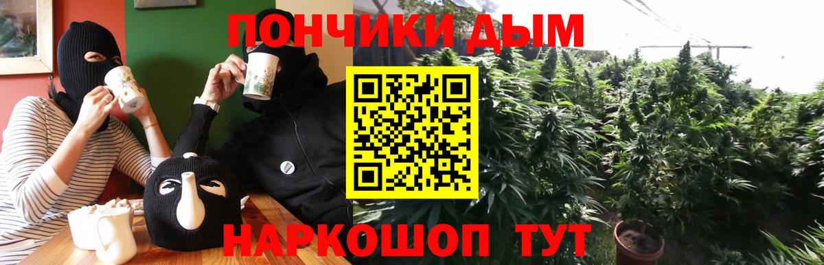 Конопля марихуана Александров
